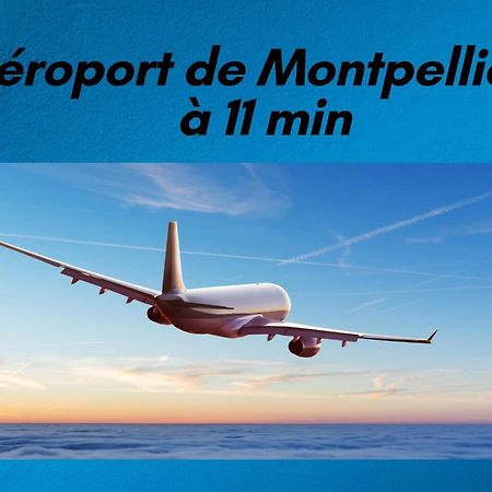 T3 Somptuosa 1 Ere Ligne Vue Mer Palavas Ngoại thất bức ảnh